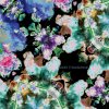 Fribytterdrømme - Album Labyrintens Farver
