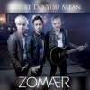 Zomaer - Album What Do You Mean