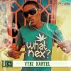 Vybz Kartel - Album What Nex?