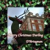 D'Artagnan - Album Merry Christmas Darling