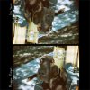 Maggie Rogers - Album Dog Years