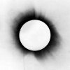 Architects - Album Gone With The Wind