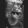 La Que Faltaba - Album Una Mariposa Baila