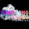 Timeflies - Album Something Wrong