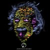 Jacob Tillberg - Album LSD, Not Even Once