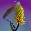 Flume - Album Say It