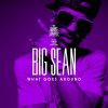 Big Sean - Album What Goes Around (Edited Version)