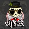 Nanpa Básico - Album Compilado Vol 1