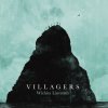 Villagers - Album Wichita Lineman