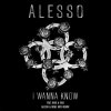 Album I Wanna Know (Alesso & Deniz Koyu Remix)