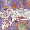 Community Radio - Album Real Transformation