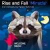 Rise and Fall - Album Miracle