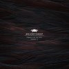 Melodysheep - Album The Son of Fire 