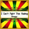 Shaggy - Album I Can't Fight This Feeling (Ringtone)
