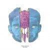 Tom Misch - Album Reverie