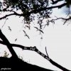 ProJector - Album As Full as We Felt