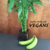 Rucka Rucka Ali - Album Vegans
