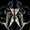 Shahin Najafi - Album Fou