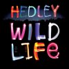 Hedley - Album Wild Life Commentary