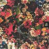 Jazz Cartier - Album Just In Case
