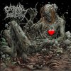 Carnal Decay - Album No Sequel / Freed from the Leash