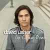 David Usher - Album I'm Coming Down [Digital 45]