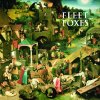 Fleet Foxes - Album Fleet Foxes Album Snippet