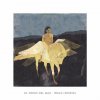 El Perro del Mar - Album IWD4U