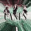 Ganes - Album An cunta che