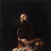 The Veils - Album Iodine & Iron