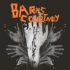 Barns Courtney - Album Hands