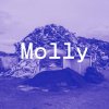 PRO8L3M - Album Molly