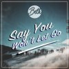 Beth - Album Say You Won't Let Go