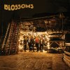 Blossoms - Album Blossoms