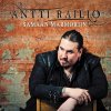 Antti Railio - Album Samaan Marmoriin