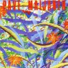 Pave Maijanen - Album Palava Sydan