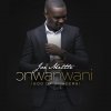 Joe Mettle - Album Onwanwani