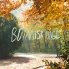 Cezinando - Album Botanisk Hage