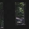 Willow - Album Nocturnal House