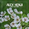 Alex Kenji - Album Yeah Yeah Yeah