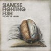 Siamese - Album We Are the Sound