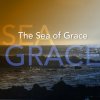 Joanna - Album The Sea of Grace