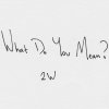 Two Worlds - Album What Do You Mean? (Originally Performed By Justin Bieber)
