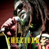 Chezidek - Album No Fear