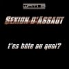 Sexion d'Assaut - Album T'Es Bête Ou Quoi?