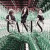 Ganes - Album La munt dal scioz