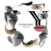CROSS GENE - Album YING YANG