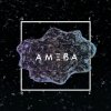 Gedz - Album AMEBA