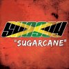 Shaggy - Album Sugarcane