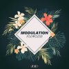Modulation - Album Flowless